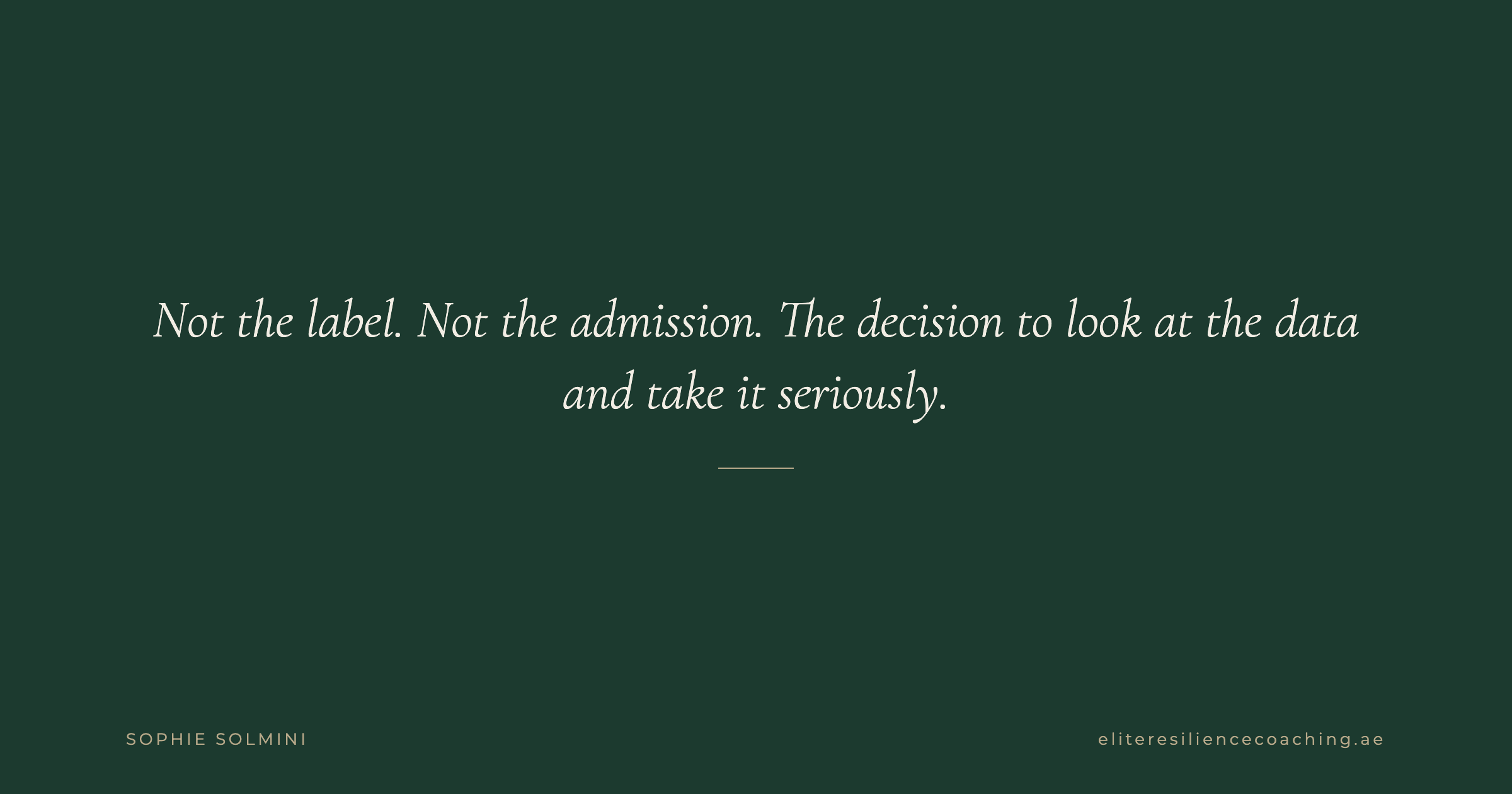 Cover for The Executive's Dilemma: When Does Social Drinking Become a Strategic Liability?
