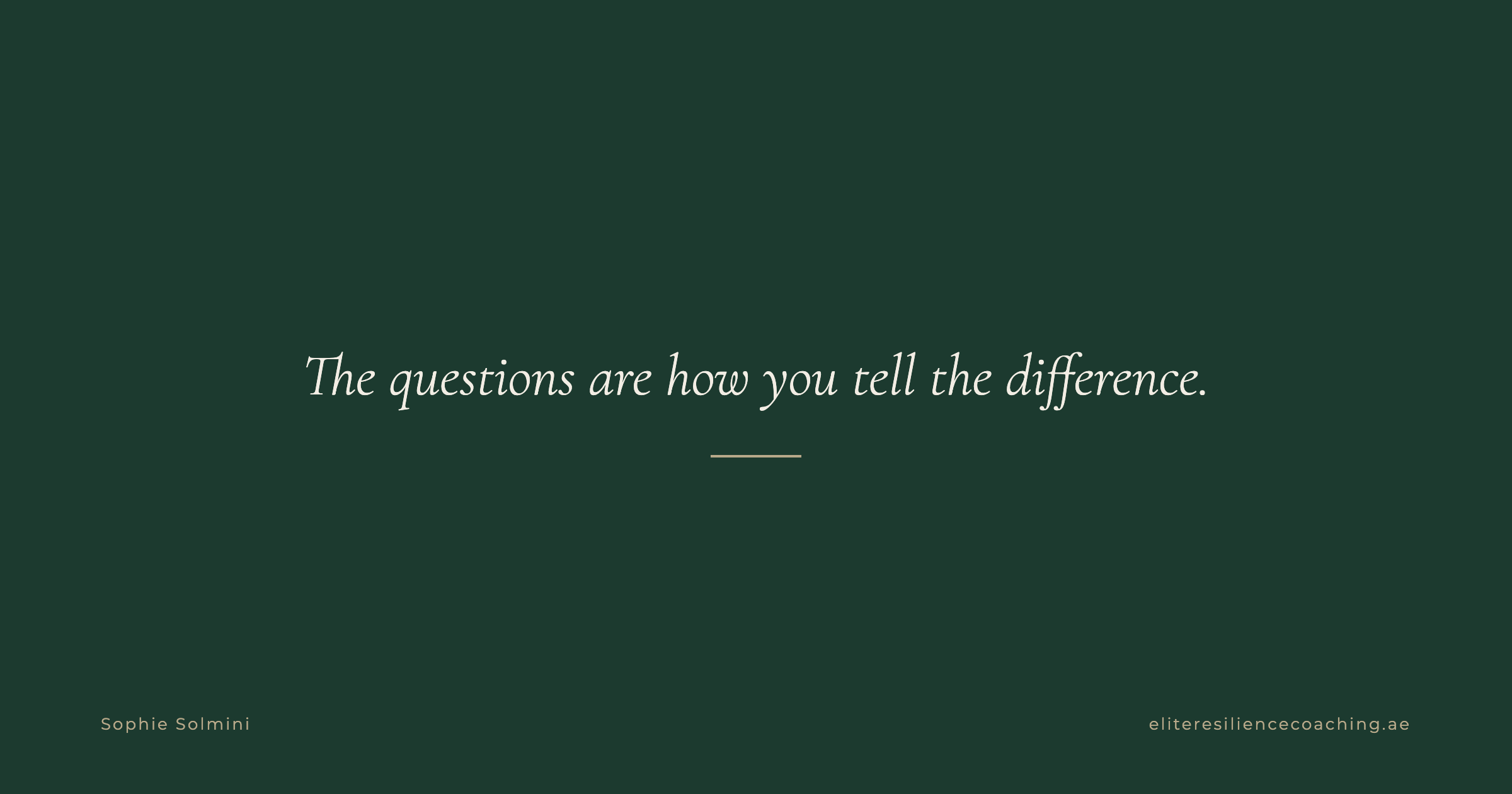 Cover for Confidentiality in Crisis: How to Vet a Strategic Liaison