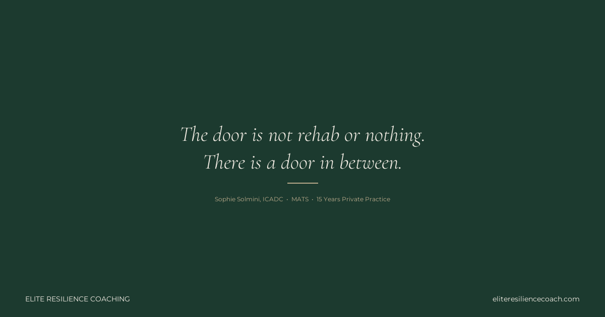 Cover for I Drink Too Much But I Don't Want to Go to Rehab